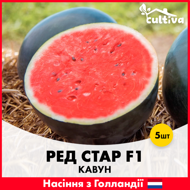 Арбуз Ред Стар F1, 5 шт - изображение 3