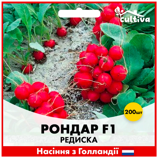Голландские семена Syngenta Редис Рондар F1 200 шт - Фото 2 Голландские семена Syngenta Редис Рондар F1 200 шт - изображение 2
