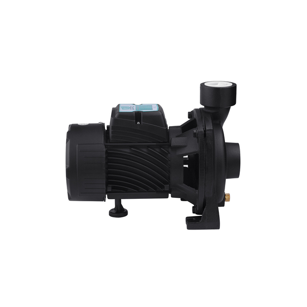 Насос поверхностный поливочный Pumpman TGA1A Нmax 18м Qmax 16куб.м 1 1 ...