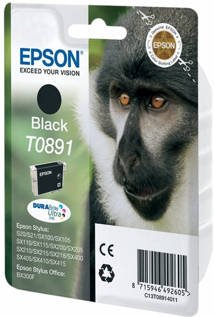 Tusz Epson Stylus S20 Black (C13T08914011) - obraz 1