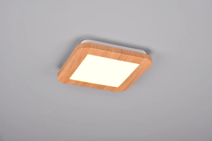Люстра LED светодиодная потолочная Reality CAMILLUS 9W 1000lm 3000K (R62931035) на кухню, для спальни, для гостиной - изображение 2