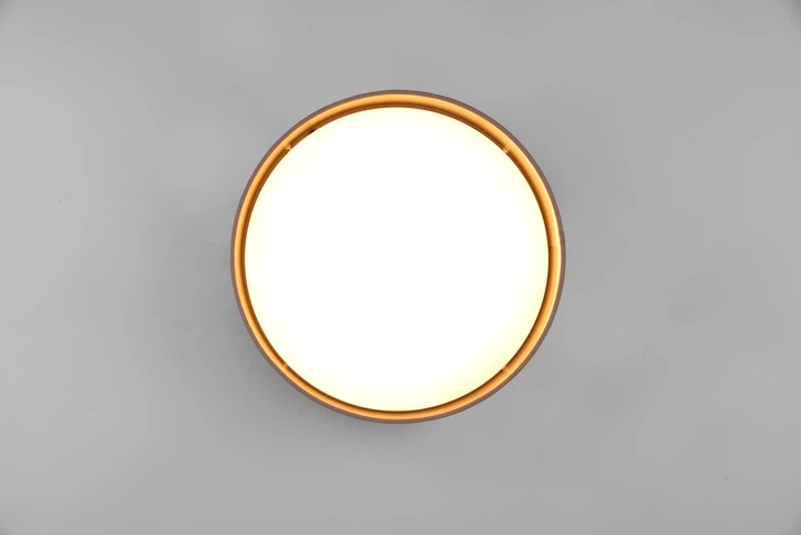 Люстра LED светодиодная потолочная Reality LOCARNO 12W 1160lm 3000K (R64191141) на кухню, для спальни, для гостиной - изображение 4