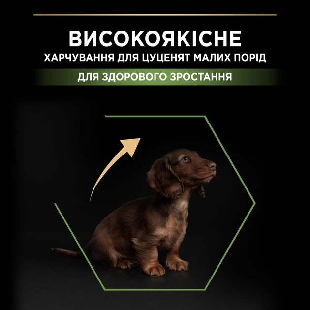 Сухой корм Purina Pro Plan Veterinary Diets Small&Mini Puppy Healthy Start Chicken Сухой корм для щенков малых и миниатюрных пород 7 кг (7613035123366) - Фото 5 Сухой корм Purina Pro Plan Veterinary Diets Small&Mini Puppy Healthy Start Chicken Сухой корм для щенков малых и миниатюрных пород 7 кг (7613035123366) - изображение 5