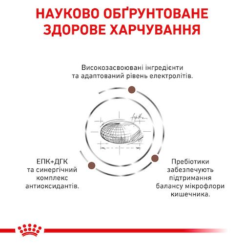 Сухой корм Royal Canin Gastrointestinal 2 кг (39110201) - изображение 5