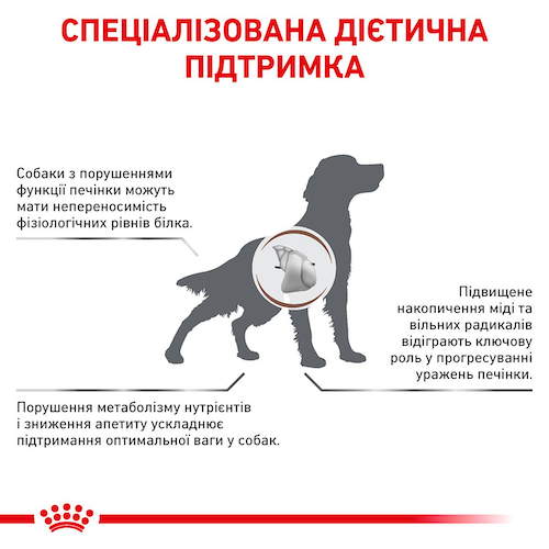 Сухой лечебный корм Royal Canin Hepatic Dog для собак при заболеваниях печени и пироплазмозе 1.5 кг (арт 39270151) - изображение 3