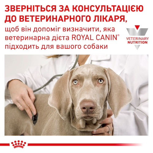 Сухой корм Royal Canin Gastrointestinal Low Fat 12 кг (39321201) - изображение 8