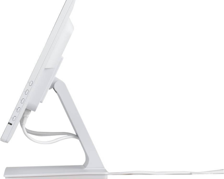Монітор 24 дюйми Iiyama ProLite (T2452MSC-W1) - зображення 7