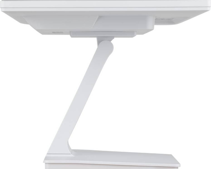 Монітор 24 дюйми Iiyama ProLite (T2452MSC-W1) - зображення 9