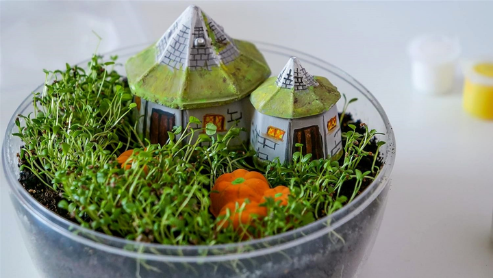 Zestaw kreatywny Clementoni Harry Potter Hagrids Hut Terrarium (8005125192489) - obraz 4