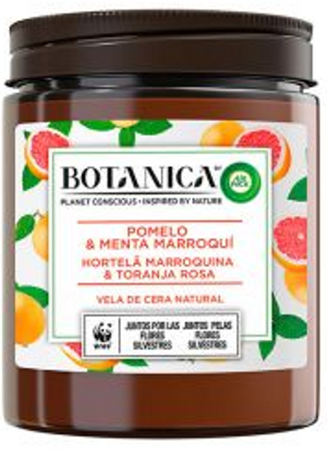 Świeca zapachowa Air Wick Botanica Vela Grapefruit & Moroccan Mint 205 g (8410104895884) - obraz 1