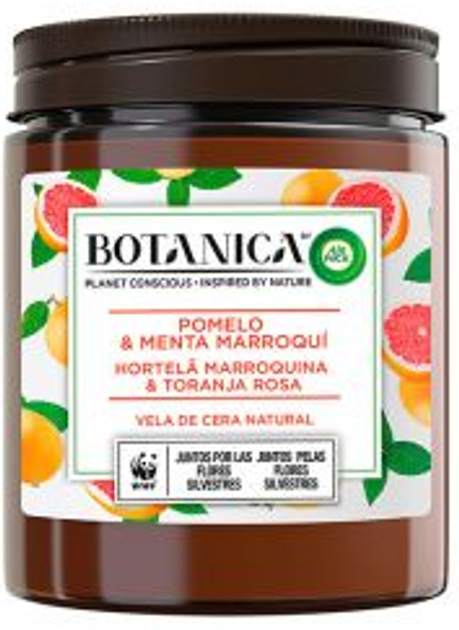 Ароматична свічка Air Wick Botanica Vela Grapefruit & Moroccan Mint 205 г (8410104895884) - зображення 1