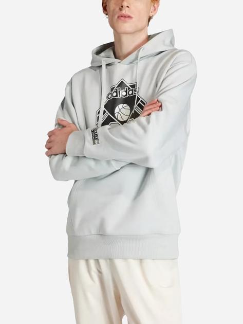 Bluza męska z kapturem Adidas Graphic Hoodie "Wonder Silver" IV9691 M Szara (4067886988521) - obraz 1