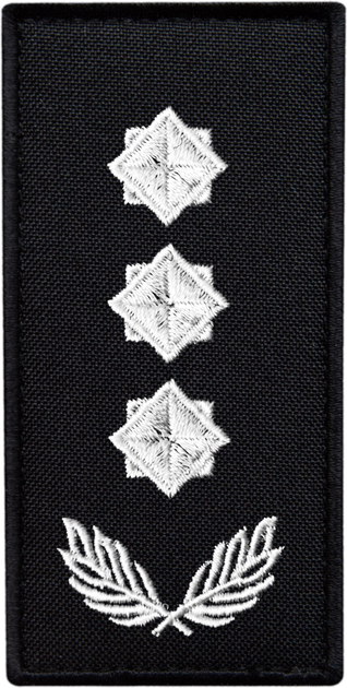 Шеврон нашивка на липучці IDEIA погон звання ДСНС Полковник, вишитий патч 5х10 см (2200004309439) - зображення 1