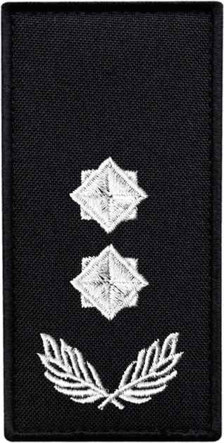 Шеврон нашивка на липучке IDEIA погон звания ДСНС Подполковник, вышитый патч 5х10 см (2200004309422) - изображение 1