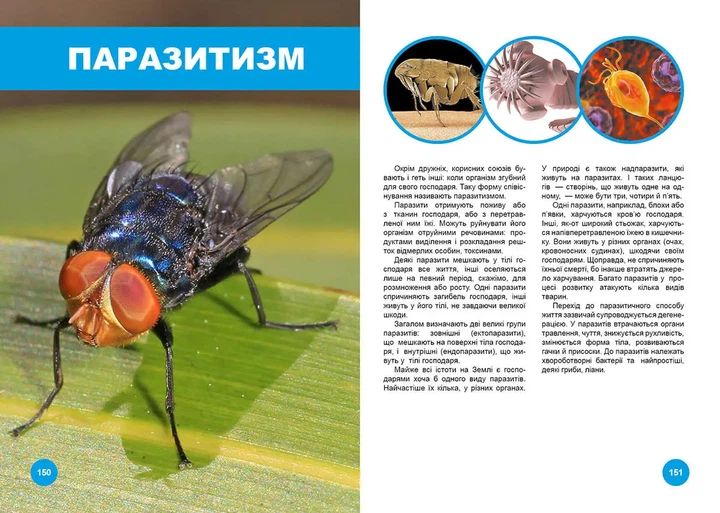 Хто з ким дружить, або дивовижі симбіозу (9789669890467) - зображення 5