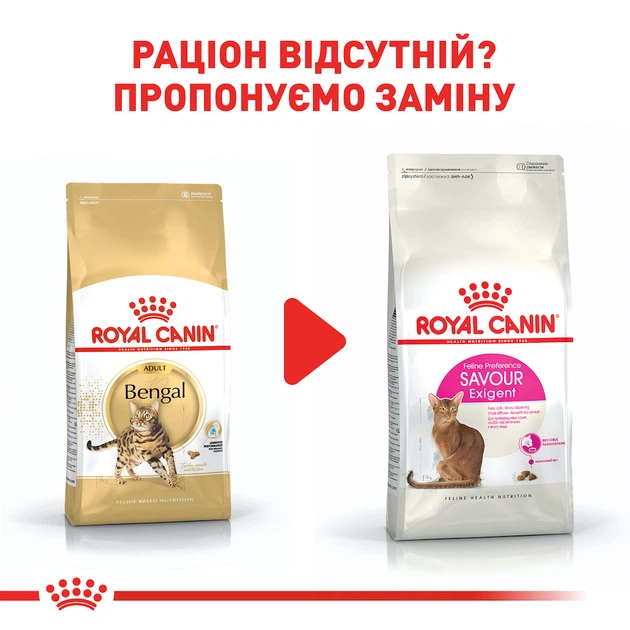  CANIN Bengal ドライフード2kg×2 Сухой корм Royal Canin Bengal Adult 2 кг (4370020) – купить онлайн