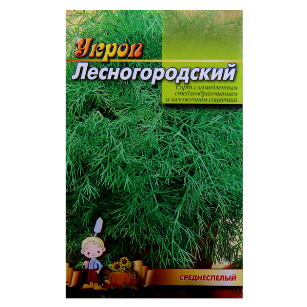 Семена Укроп Лесногородский среднеспелый 20 г большой пакет - Фото 1 Семена Укроп Лесногородский среднеспелый 20 г большой пакет - изображение 1