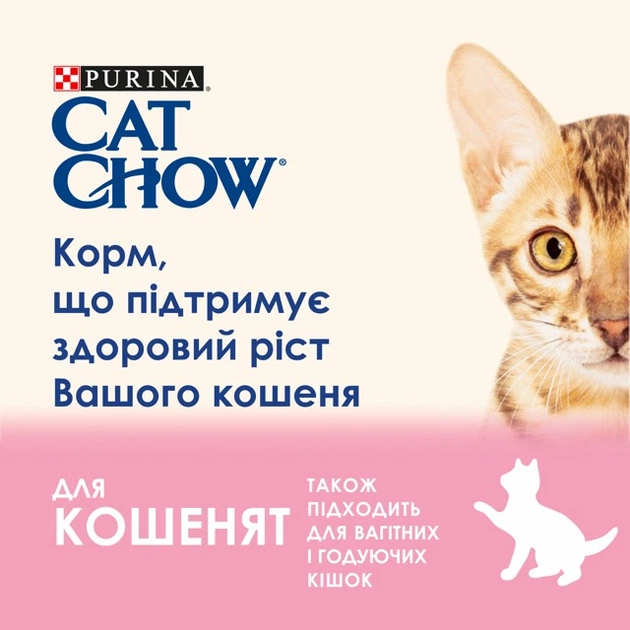 Консервований корм Purina Cat Chow Kitten з ягням та цукіні шматочки в підливці для кошенят 26 шт х 85 г (8445290426536-26) - Фото 4 Консервований корм Purina Cat Chow Kitten з ягням та цукіні шматочки в підливці для кошенят 26 шт х 85 г (8445290426536-26) - изображение 4
