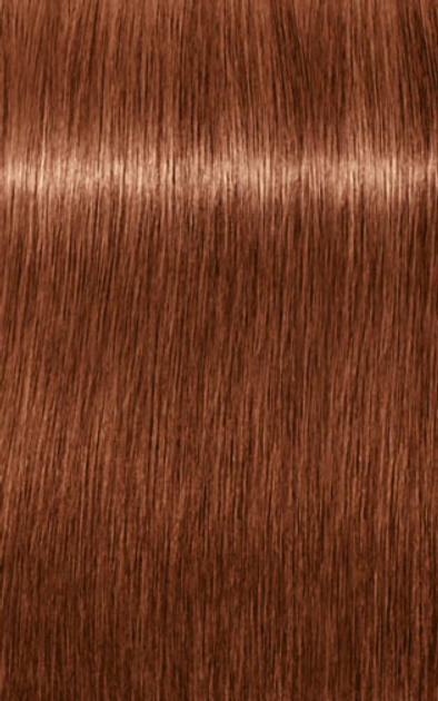 Стійка фарба для волосся Schwarzkopf Igora Royal Absolutes 7 - 560 Medium Blonde Gold Chocolate Natural 60 мл (4045787632248 / 7702045549058) - зображення 1
