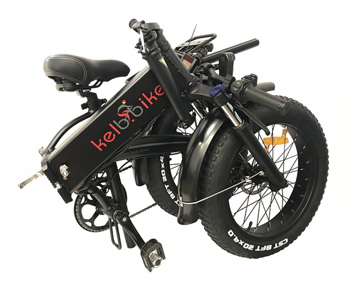 ROZETKA | Электровелосипед фэтбайк 20 E-1911WS-20 500W, 48V10AH купить ...