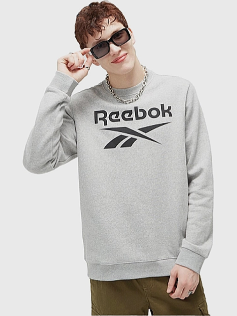 Bluza bez kaptura męska Reebok Identity Big 100050273 M Szara (4066751179866) - obraz 1