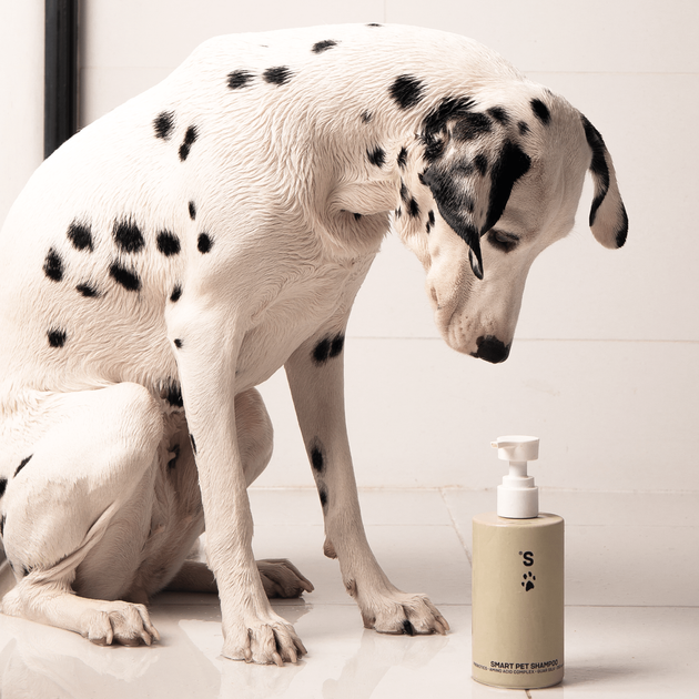 Шампунь для домашніх улюбленців Sister's Aroma Smart Pet Shampoo 250 мл (4820227781720) - зображення 3