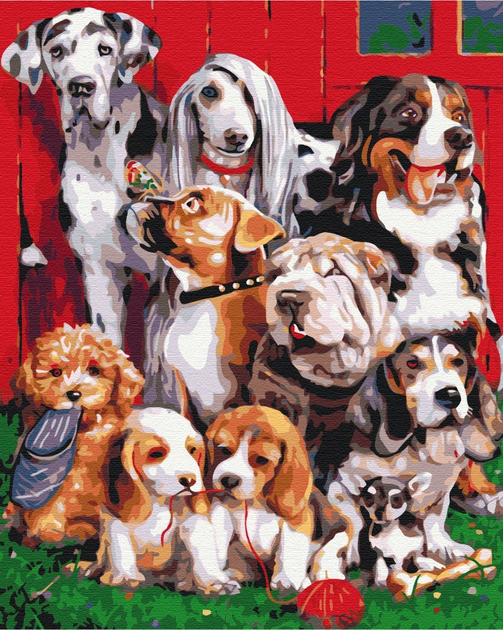 Картина за номерами Symag Paint It Портрет із собаками 40 x 50 см (5904433380553) - зображення 1