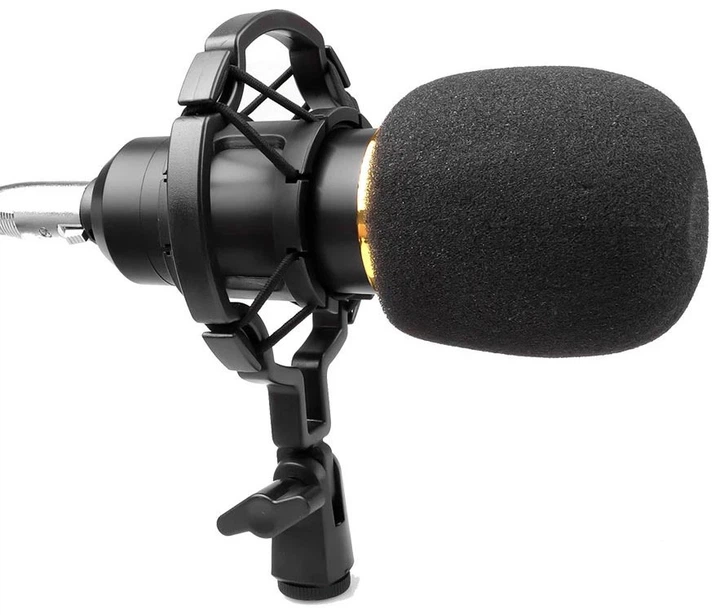 Конденсаторный микрофон HL Audio BM-800 - изображение 3