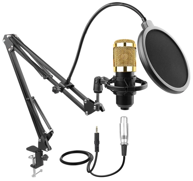 Конденсаторный микрофон HL Audio BM-800 - изображение 4