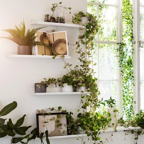 Полка для картин IKEA MALMBACK МАЛЬМБЭКК, белый, 60 см, 204.462.36 - изображение 5