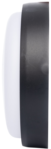 Oprawa piwniczna Germina 15W 4000K IP54 czarna (GW-0050) - obraz 4