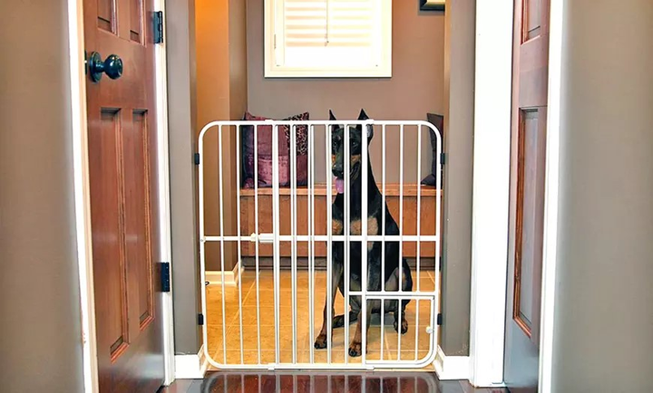 Огорожа для собак Carlson Gate Big Tuffy  Expandable with Door  81 x 107 см (0891618006320) - зображення 2