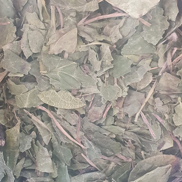 Грушанка круглолистная лист сушеный 100 г - изображение 1