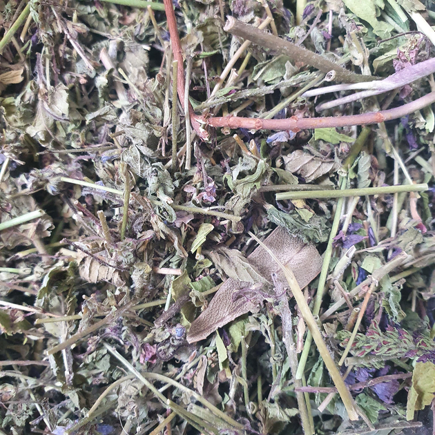 Вероника лекарственная трава сушеная 100 г - изображение 1