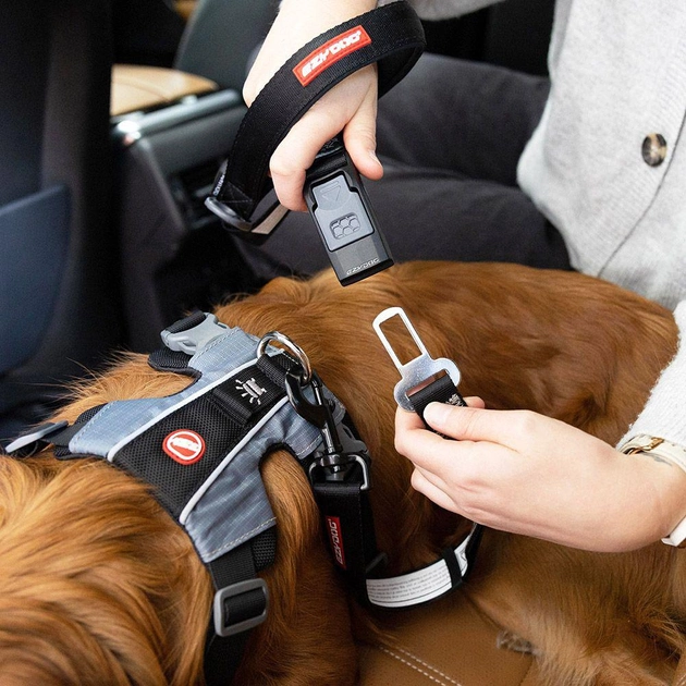Pas bezpieczeństwa dla psów EzyDog Click Seat Belt Leash Add On Black (9346036009077) - obraz 2