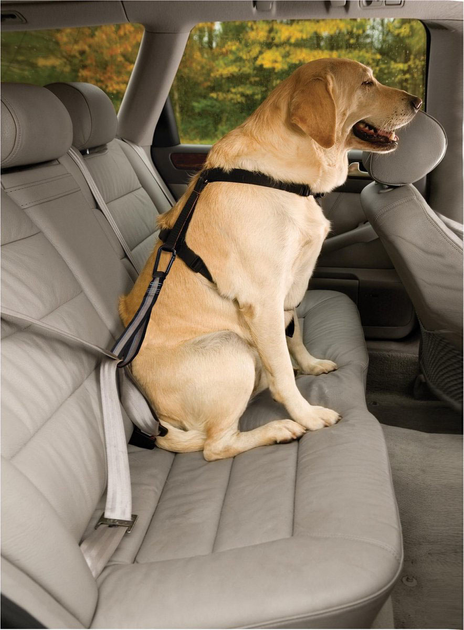 Ремінь безпеки для собак Kurgo Safety strap for the car seat belt (0813146011874) - зображення 2