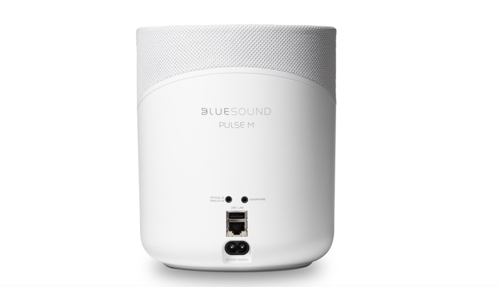 Акустика Bluesound PULSE M Compact Wireless Streaming Speaker White - изображение 2