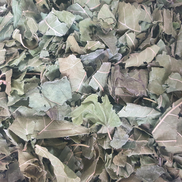 Шелковица белая лист сушеный 100 г - изображение 1