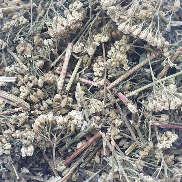 Тысячелистник трава сушеная 100 г - изображение 1