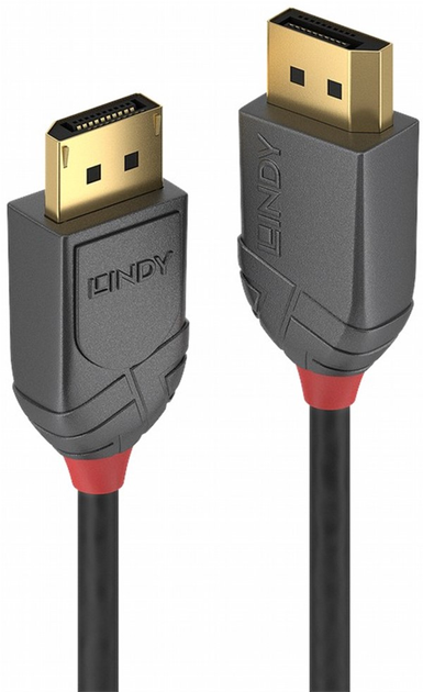 Kabel Lindy Anthra Line DisplayPort 10 m Black (4002888364867) - obraz 1