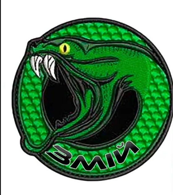 Шеврон патч "Зелений змій" на ліпучкі велкро - зображення 1