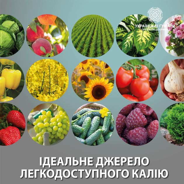 Калійне органічне добриво Українські гумати АКТИВНИЙ КАЛІЙ для активного живлення лекодоступним калієм, комплексом NPK, мікроелементами, органічними кислотами, BioACTIVE technology концентрат 1 кг (4820219190318) - зображення 6