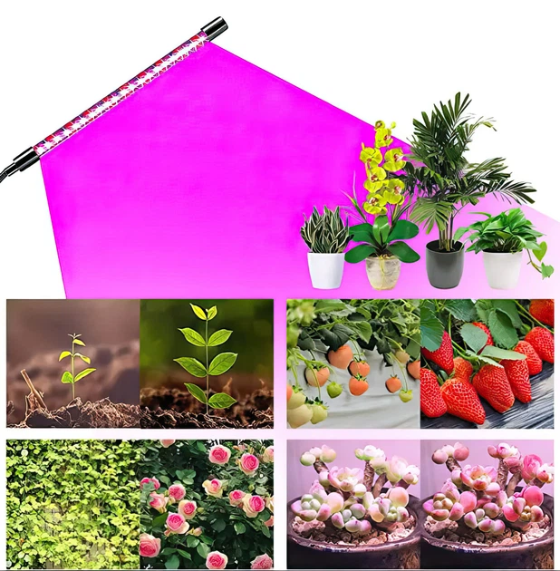 Гнучка світлодіодна фітолампа ультрафіолетова 2 голови Grow Light для квітів орхідей рослин мікрозелені повний спектр фіто лампа на прищіпці від USB - зображення 6