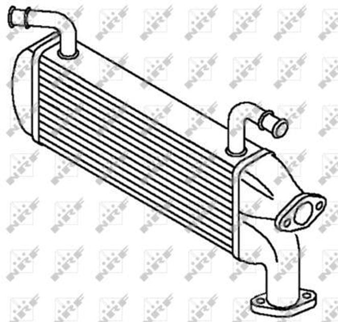 Радіатор, система рециркуляції ВГ NRF 48218 NRF (48218) - зображення 1