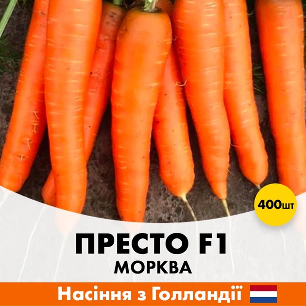 Голландские семена Hazera Морковь Престо F1 нантского типа 400 шт - Фото 1 Голландские семена Hazera Морковь Престо F1 нантского типа 400 шт - изображение 1
