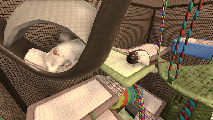 Гра PS4 House Flipper Pets Edition (диск Blu-ray) (5060264378531) - зображення 5