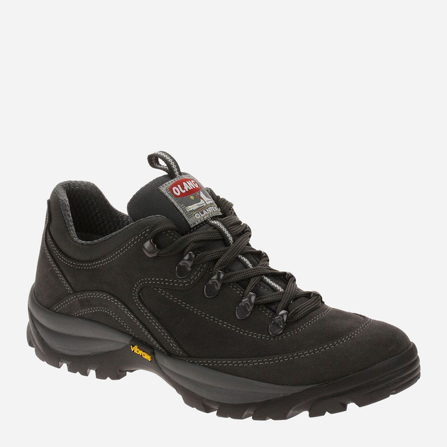 Buty sportowe trekkingowe męskie Olang Dakota.Tex Antracite 816 45 29.3 cm Szare (8026556075424) - obraz 1