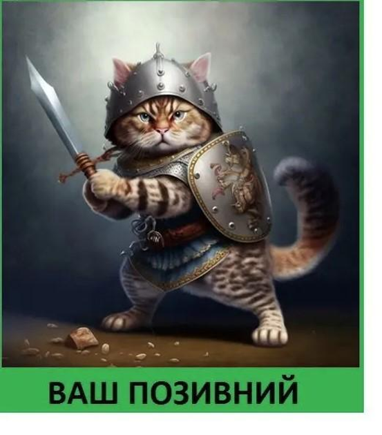 Шеврон патч "Кіт з мечем і щитом" на липучці велкро - зображення 1