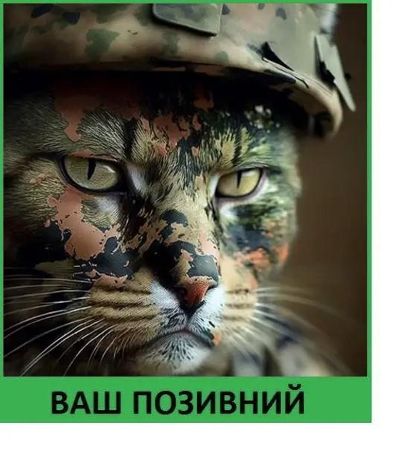 Шеврон патч "Мілітарі кіт" на липучці велкро - зображення 1