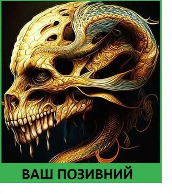 Шеврон патч "Череп змея" на липучке велкро - изображение 1